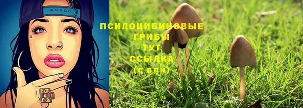 ешки Балахна