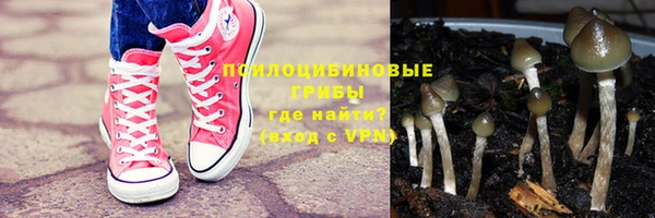молекула духа Балабаново