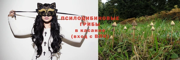 ешки Балахна
